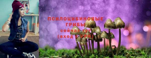 тгк Бронницы